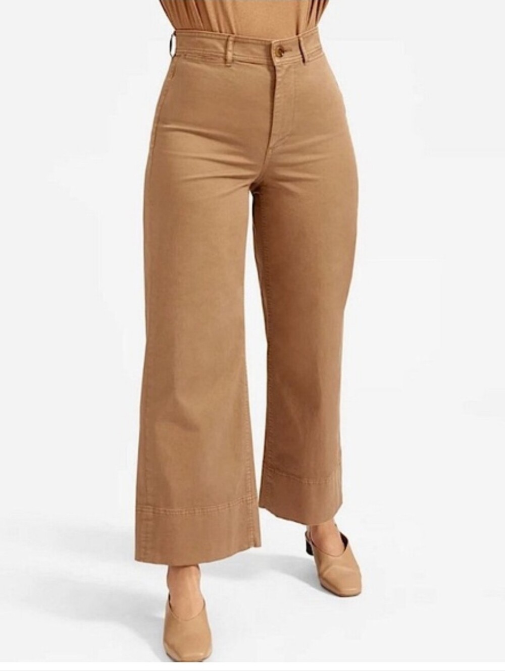 Everlane The Lightweight Wide Leg Chino Crop Tan Brown Size 0